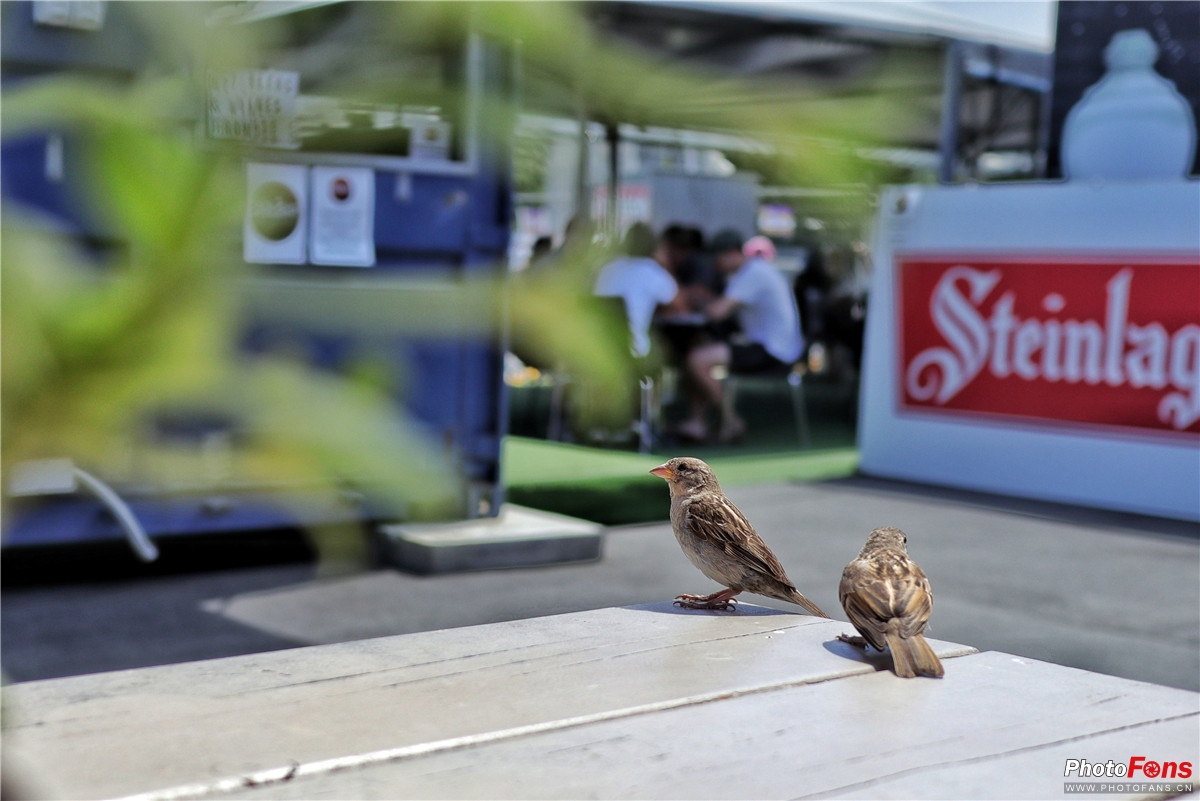 忘却时间的旅行佳能微单EOSM100轻摄新西兰