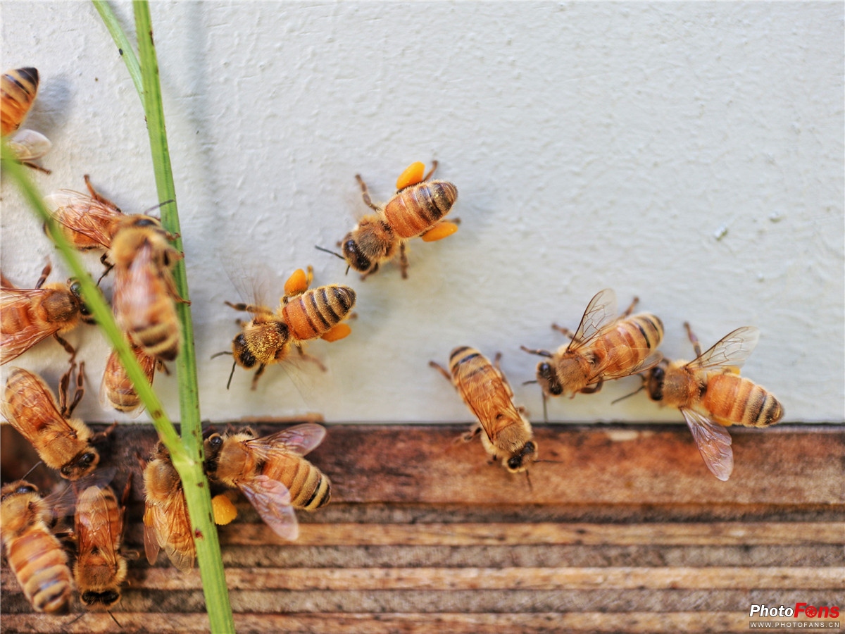 忘却时间的旅行佳能微单EOSM100轻摄新西兰