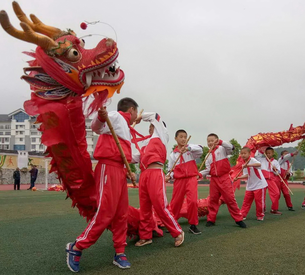 贵阳花溪小学、青岩小学特色少年宫受到135位全国“宫主”称赞