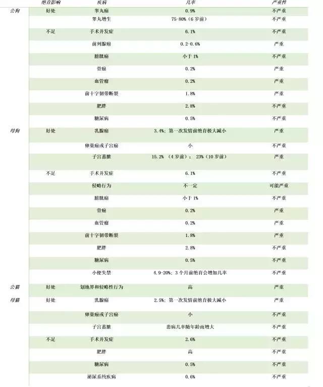 淘宝惊现猫咪情趣用品！扒一扒江湖上解决猫咪发情的N种方法