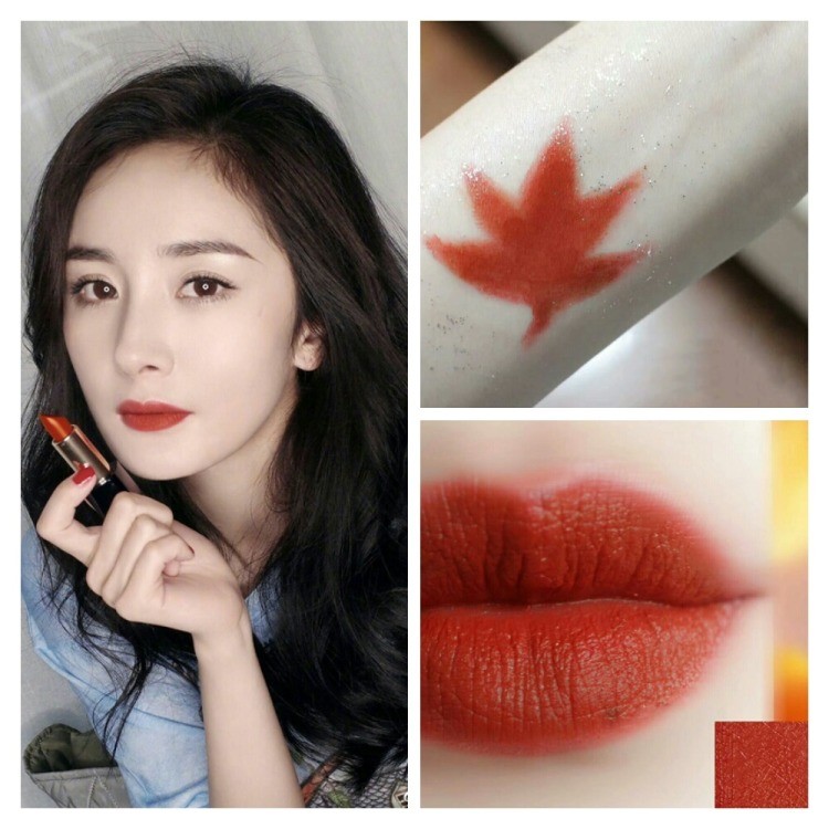 我的口红不挑皮致雅诗兰黛333口红色