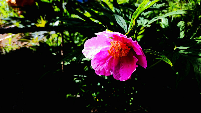 天华山-秦岭梁，又一条风景秀美的一日劲走线路