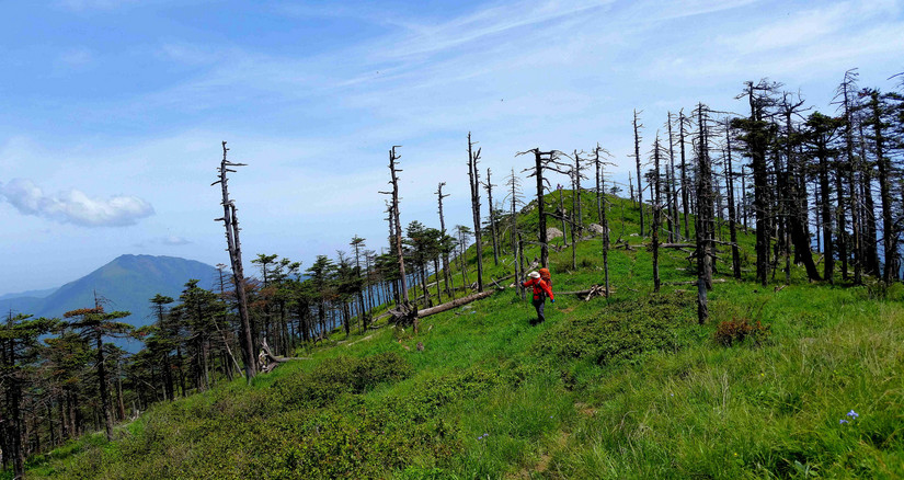 天华山-秦岭梁，又一条风景秀美的一日劲走线路