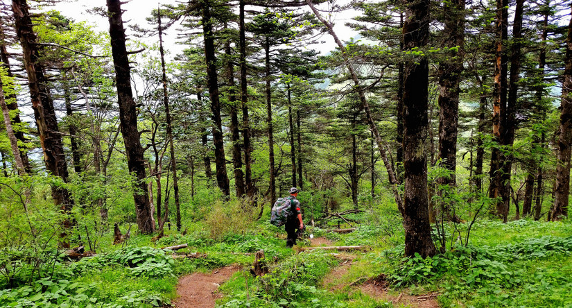 天华山-秦岭梁，又一条风景秀美的一日劲走线路
