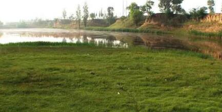 山西乡村旅游去哪里？山西最美乡村巡礼