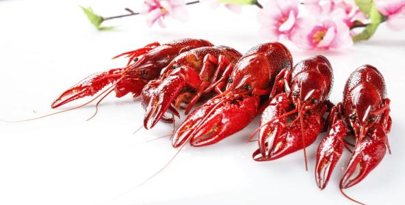 潜江小龙虾带领潜江创收超千亿,潜江龙虾产业