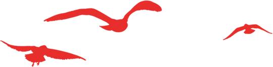 中国恒天试驾,中国恒天新车多少钱