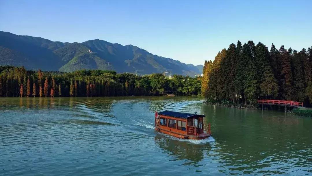 肇庆未来发展看哪里,广东肇庆最新通报