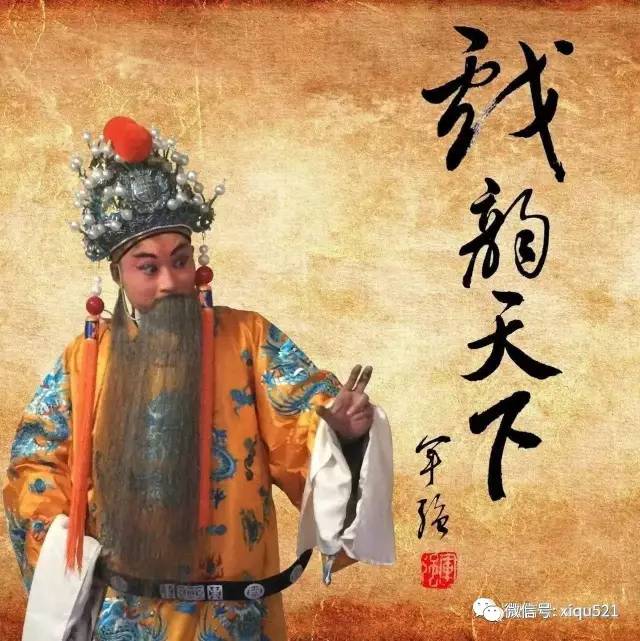 桑振君唱段马金凤,豫剧桑振君投衙全剧