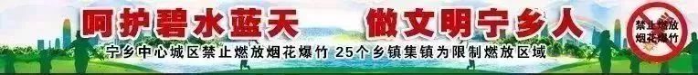 2020年8月7日济南新闻,八月八日新闻速览