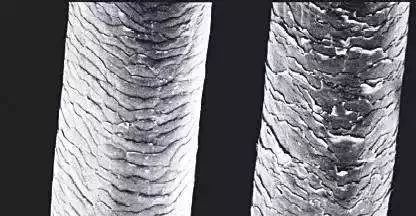 睡觉头发乱得像鸡窝一样,睡觉醒来头发乱