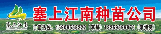 中卫天天快讯网,中卫市天天快讯招聘