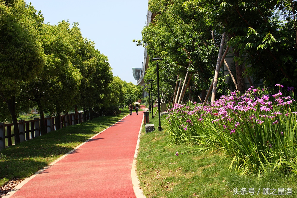 宁波西塘河路线图,宁波西塘河公园二期