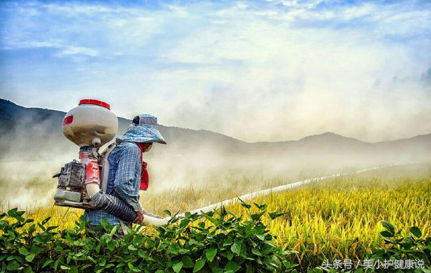 羊农药中毒的急救措施,农药中毒选择哪几类药