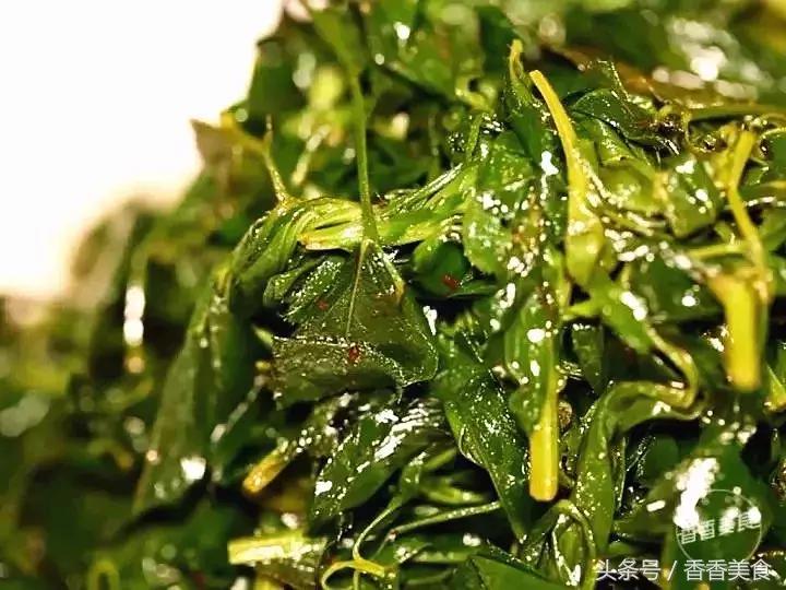 去拔草心仪已久的美食,这次采野菜我们的收获有什么