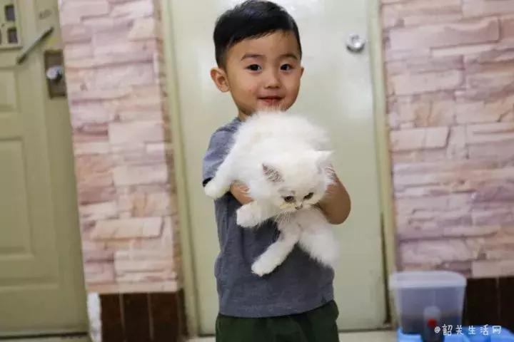 喂！妖妖灵吗？韶关这条巷子内有人聚众吸猫！已经有人沦陷了……