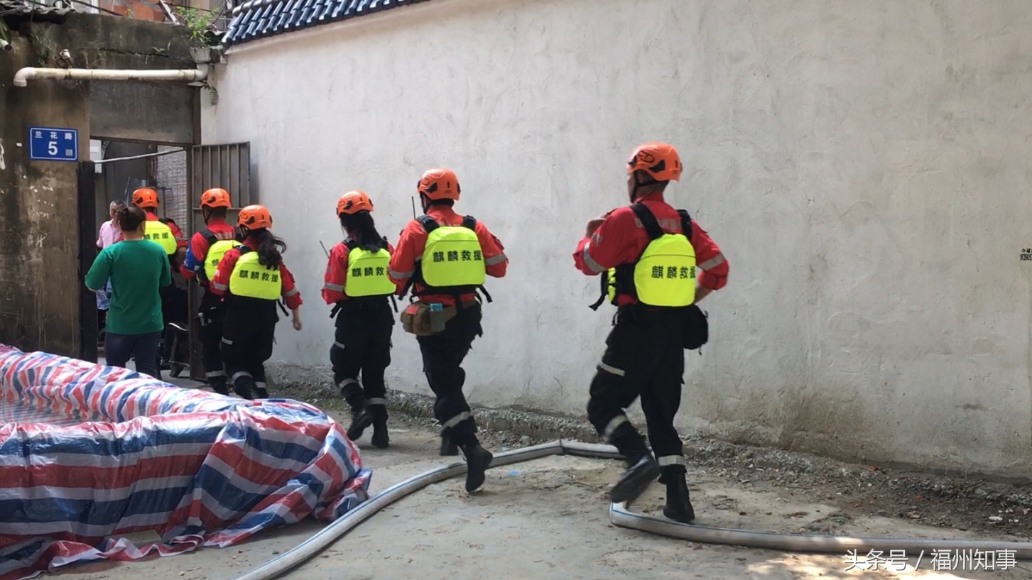 上海市最新防汛通知,上海防汛工作报道