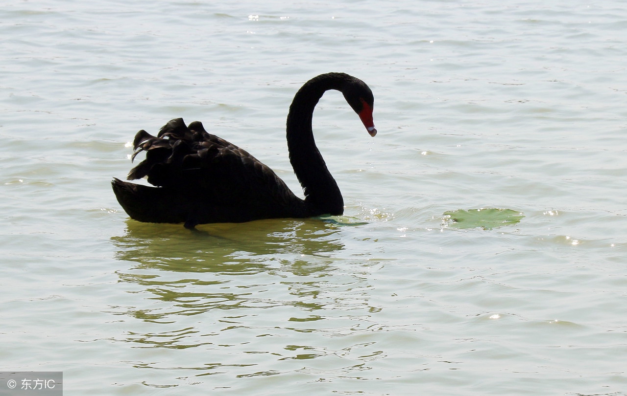穷人不买保险的理由辩论,穷人买保险富人干什么