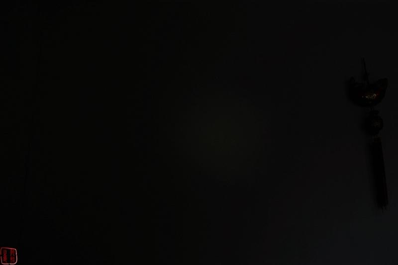 全能小怪-NITECOREMT21C使用体验