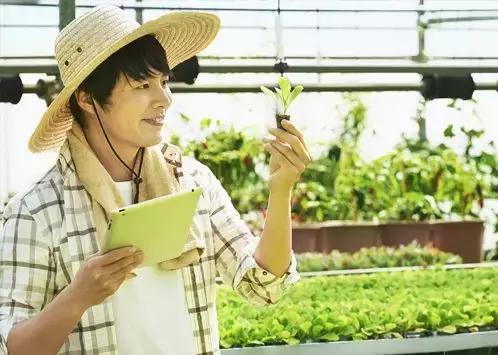 怎样解决农产品滞销的问题,农产品滞销及解决方法