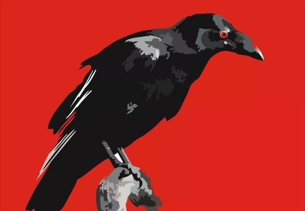 鸟与豚，高智商动物群像