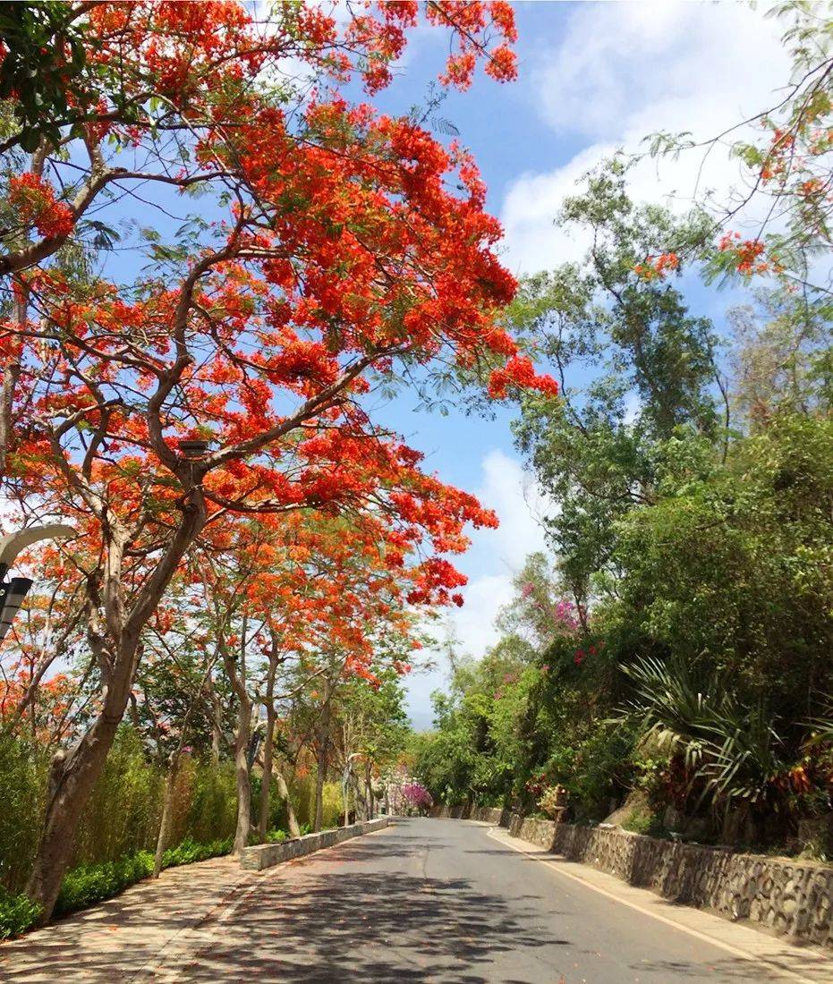 三亚jw万豪傲途格酒店,三亚万豪新开业酒店