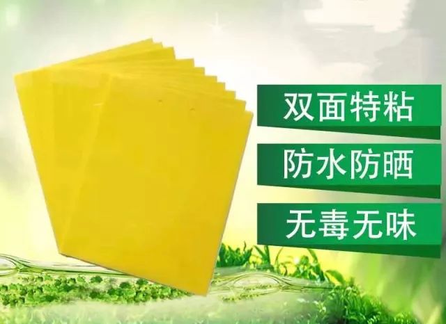 好物不私藏｜四月爱用小物来了