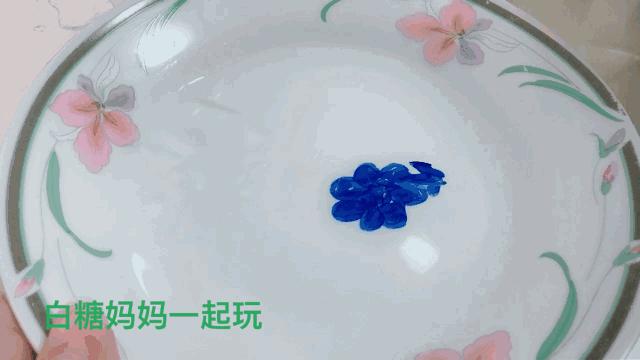 神笔白糖：我在盘子里画了只蝌蚪，加了点水，它就活过来游走了！