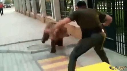 冰汽时代为什么好玩,玩冰汽时代闪退