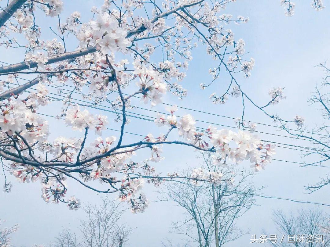 上海人均身价是多少,上海人均身价