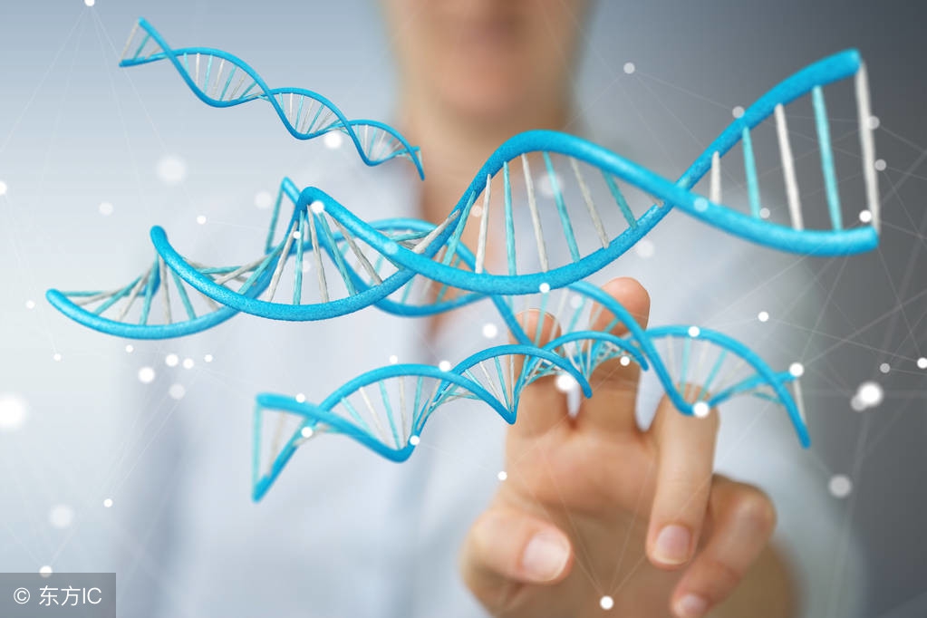 汗毛缩在毛囊里是怎么回事,汗毛蜷缩在毛囊里怎么办能治好吗