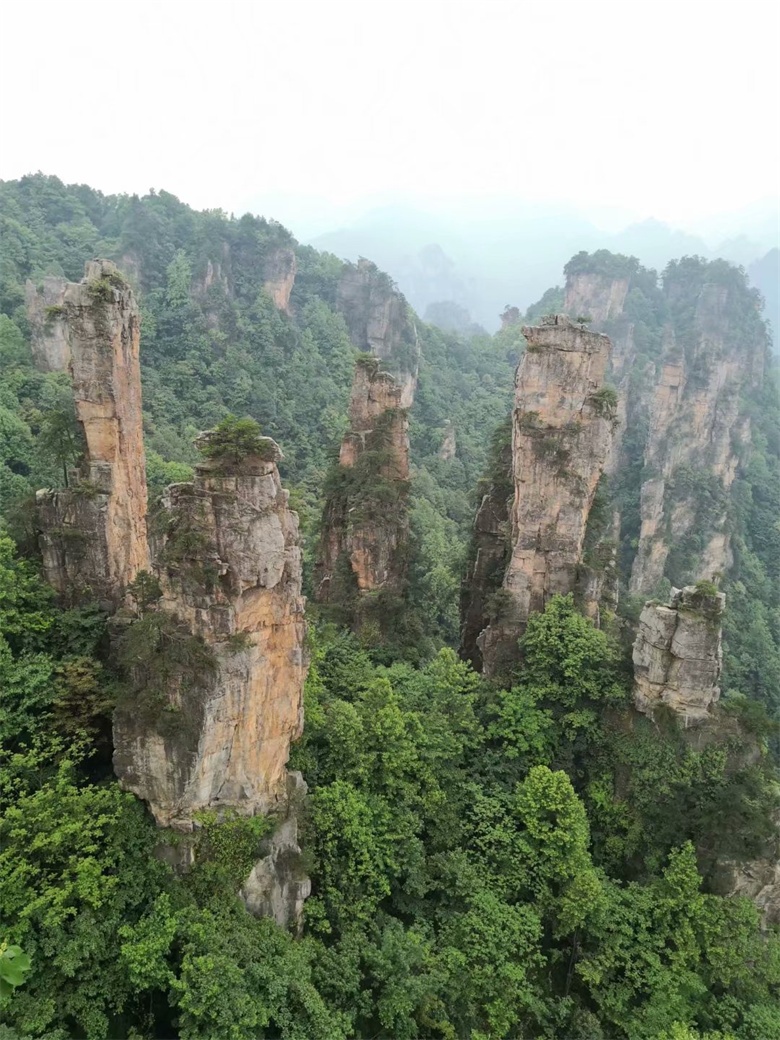 香港人组团游张家界,姐妹相约张家界三日游