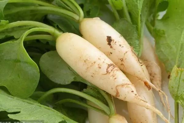 都叫芸苔素内酯，为什么差别那么大？应该正确认识！