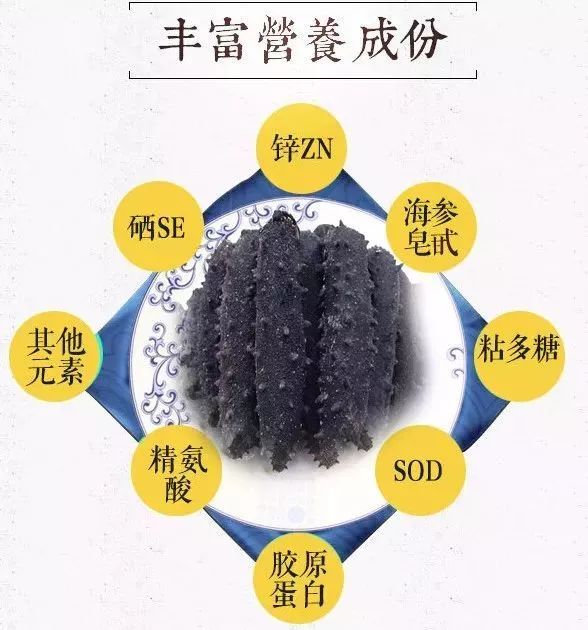 震惊正宗海参竟卖这么低的价格,海参价格良心到爆