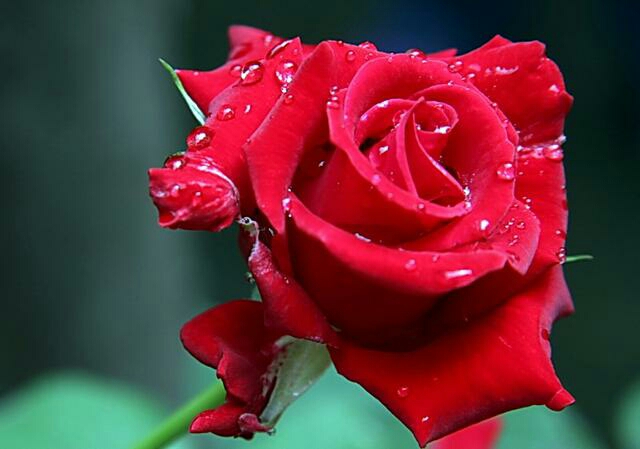 没人帮一切只能靠自己 (一切只能靠自己)