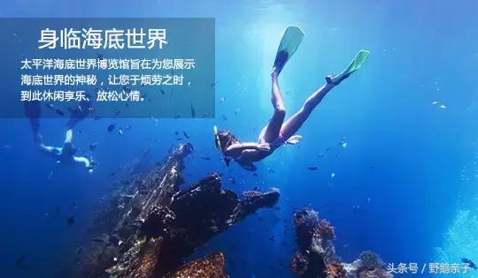 太平洋海底世界带孩子游玩,亲子游海洋世界打卡