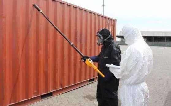 徐静蕾冻卵的危害,林志玲为什么要冻卵