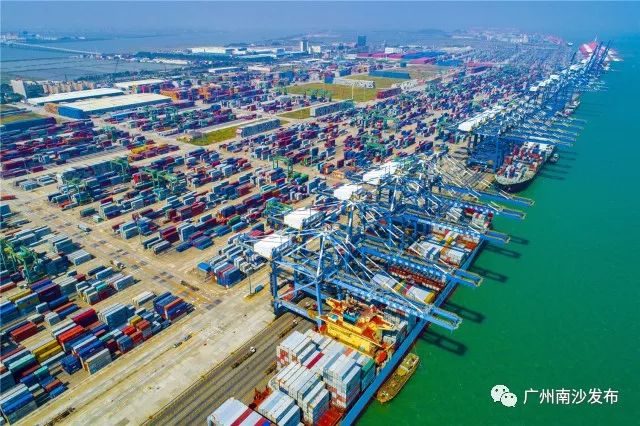 货物通关量,货物1分钟快速通关