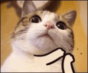 医保里钱不够怎么操作才能报销,医保报销比例和新农合报销比例