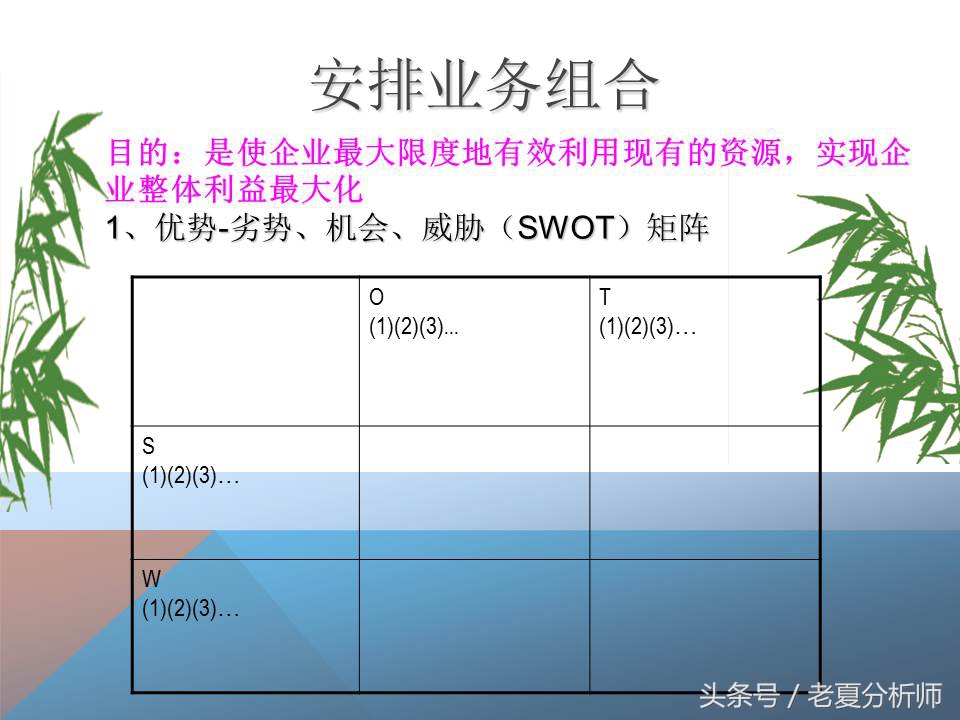 市场营销战略规划案例分析,市场营销战略策划和战术