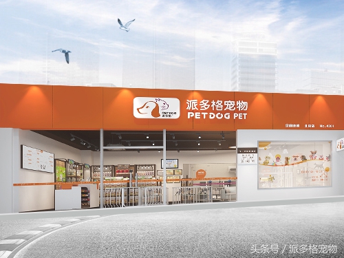 宠物行业兴起加盟宠物店前景如何,株洲连锁宠物店加盟需要多少钱