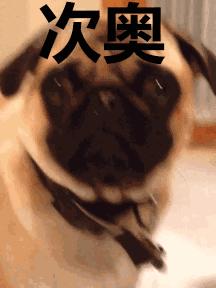 在中国的荷兰超市,荷兰最便宜的超市在哪里