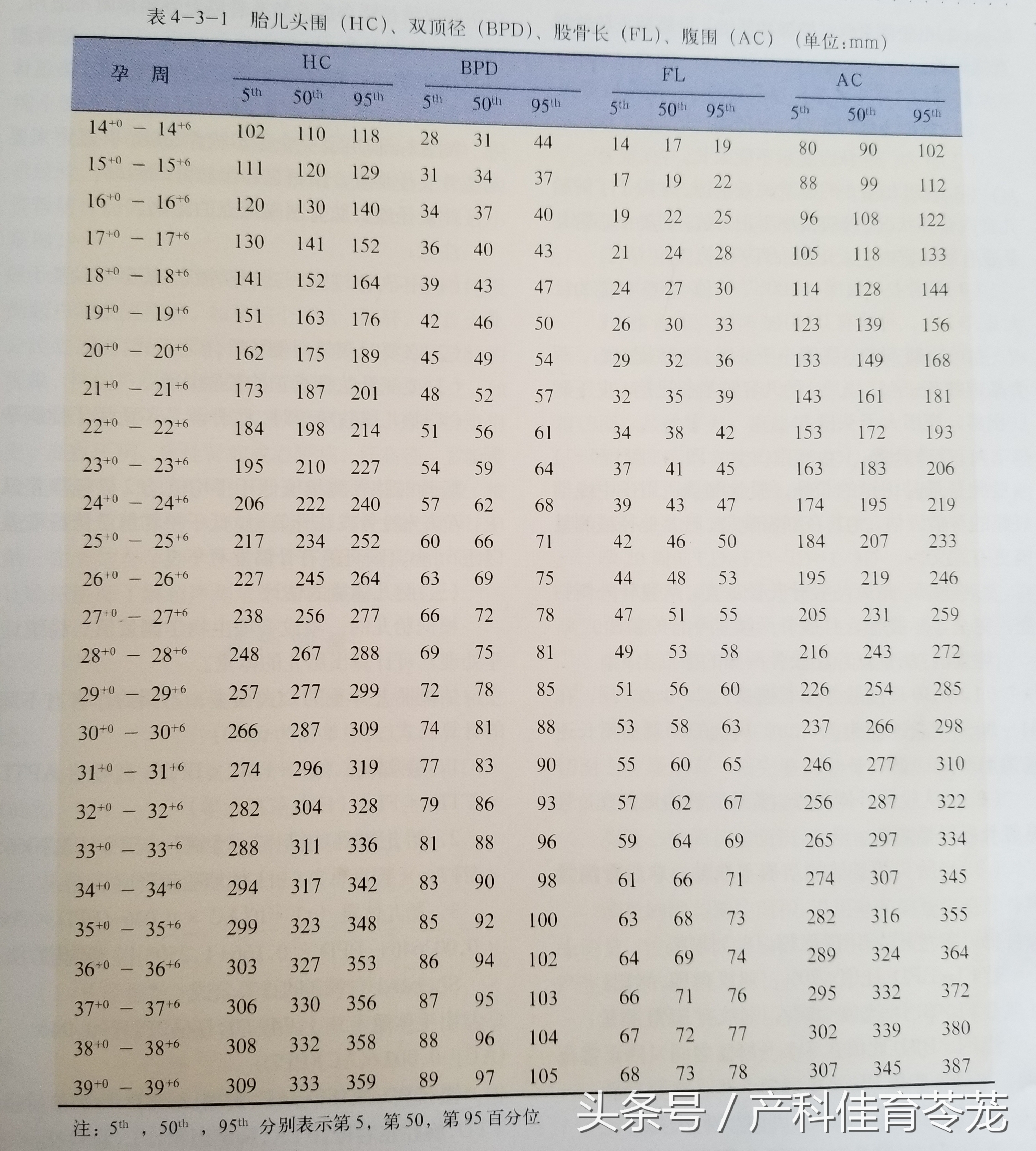 b超的3组数字代表什么,b超图片上的数字
