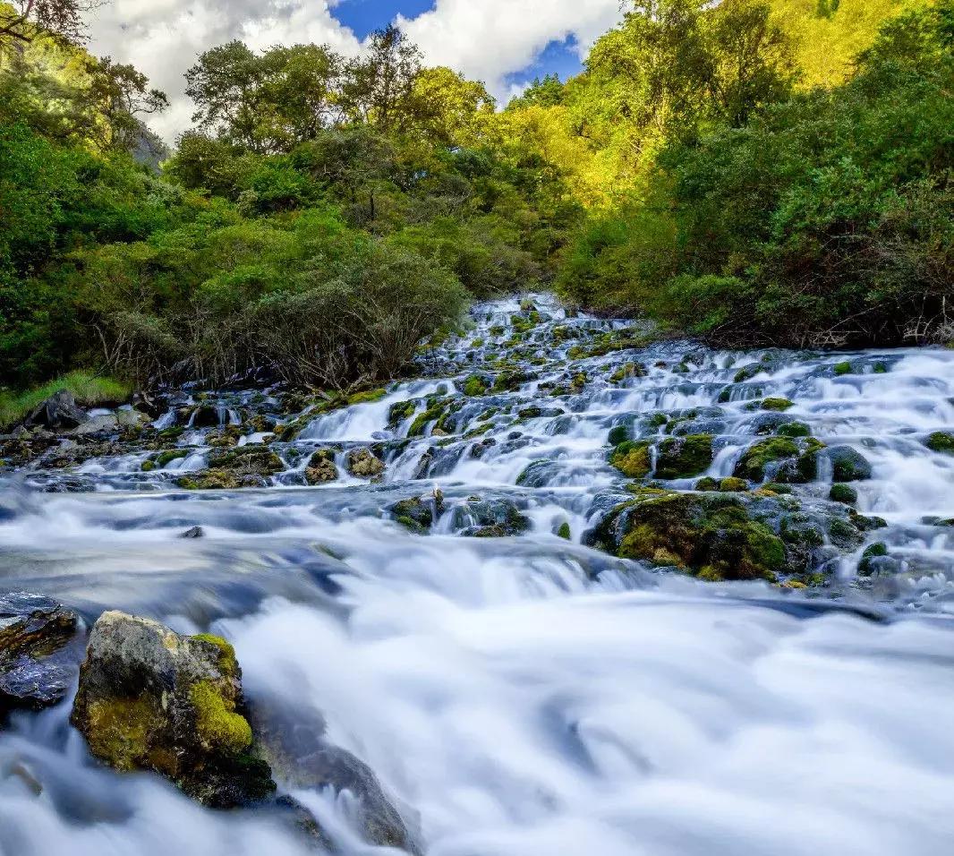 四川青城山景区免票,四川对浙江省免票的旅游景区