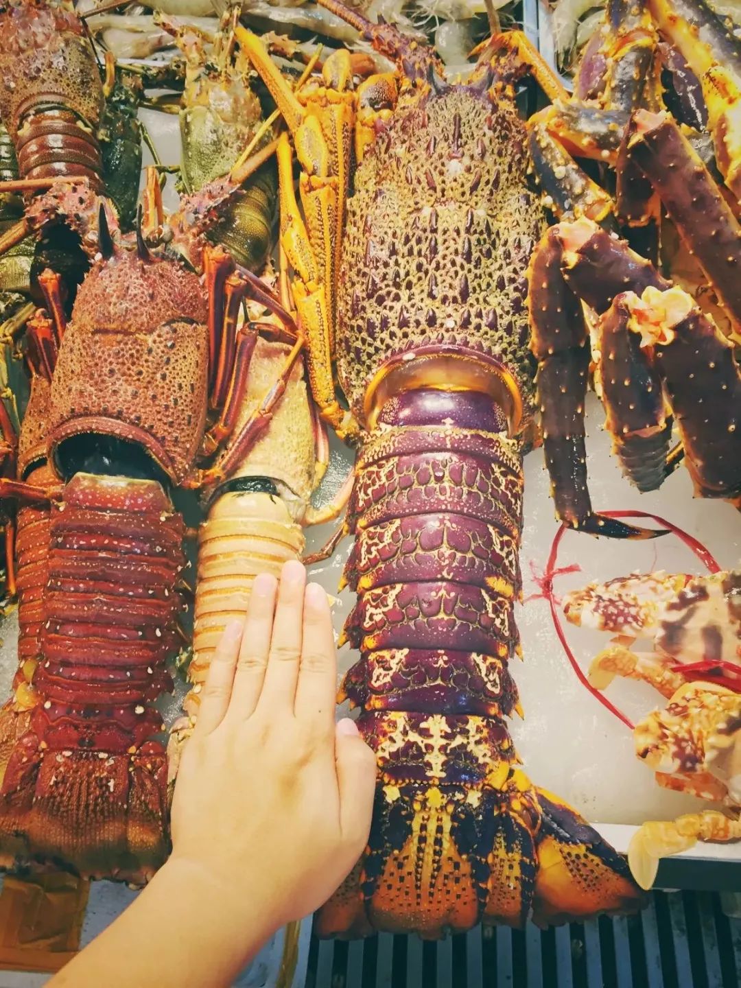 7月1日起，在北京想买菜就得这样了……！大变样！