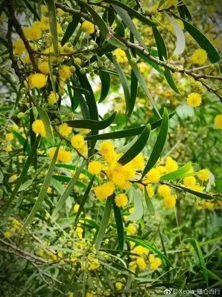 福州2022年5月赏花攻略,福州春季赏花胜地