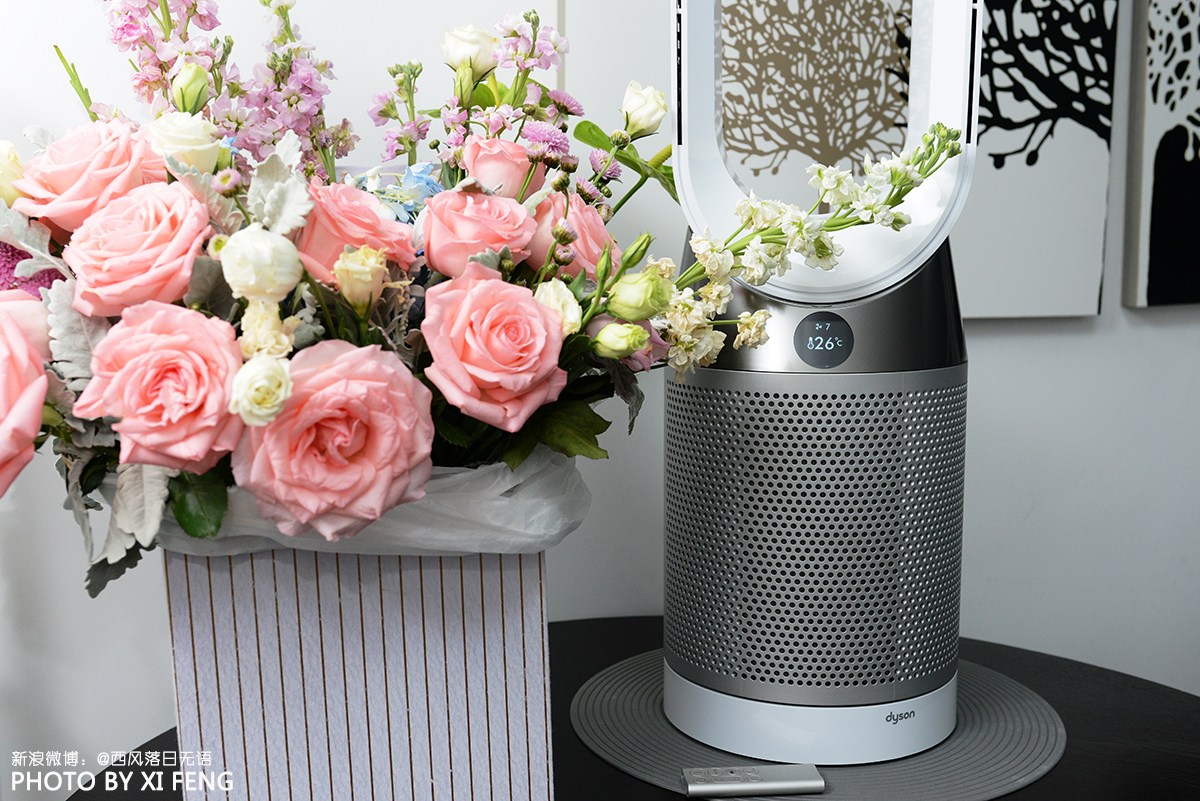 戴森投资25亿美元,dyson戴森purecool空气净化风扇