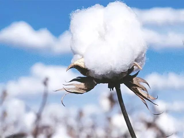 特别凉爽老粗布凉席,纯色老粗布凉席