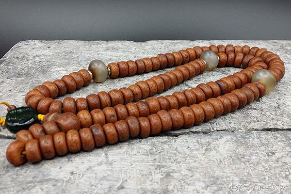 为什么凤眼菩提那么贵,为什么凤眼天珠受欢迎