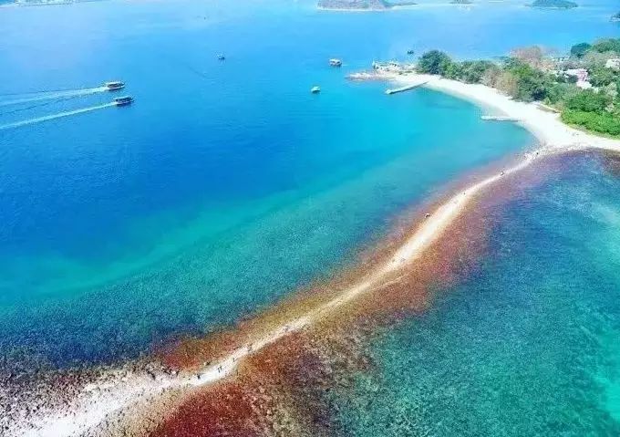 史上最强！2018香港56个景区全攻略，够用一整年！（含免费景区）